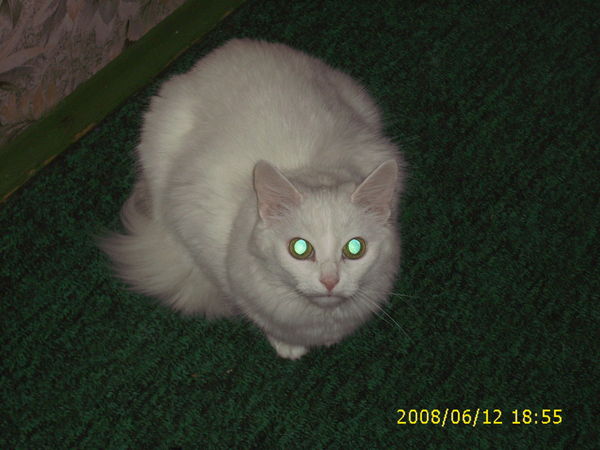 Наталия Столярова