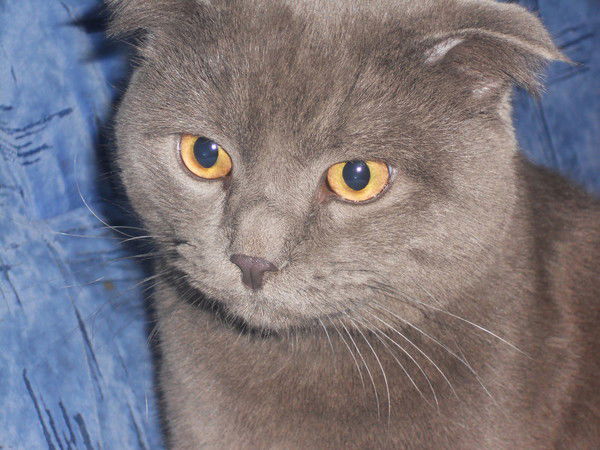 Добавляйтесь Тюряга