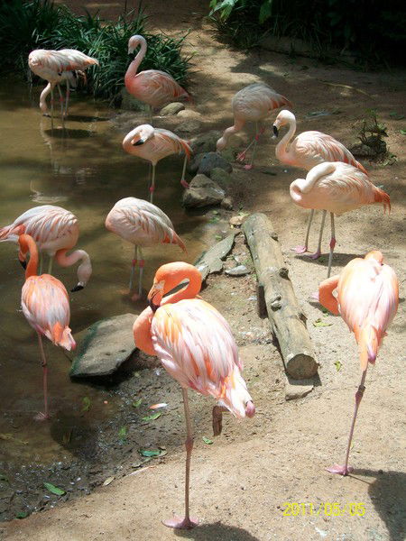 Ольга Руева