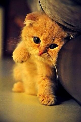 Евгения Архипова