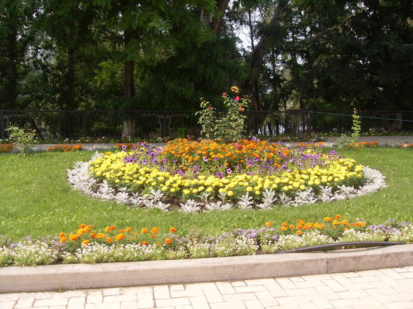 Наталия Погребняк