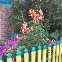 Наталья Маслова