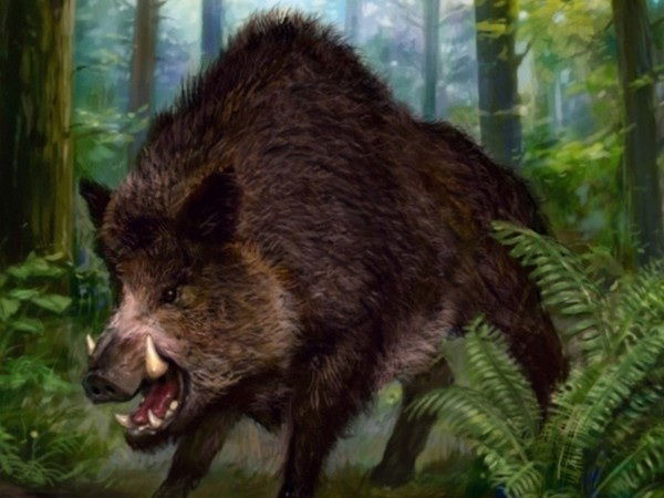 Алексей Ашкинадзе