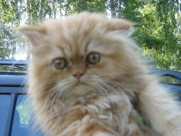 Екатерина S