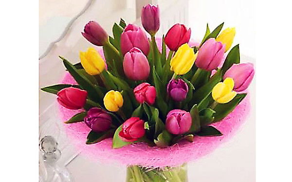 Елена Каканова