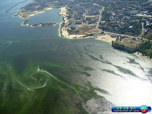 Мелиса Полиса