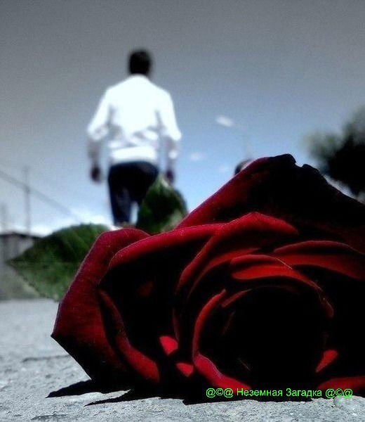 Виктория Смирнова