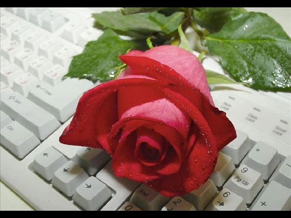 Управление Образования