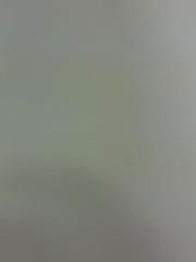 Светлана Кравчук