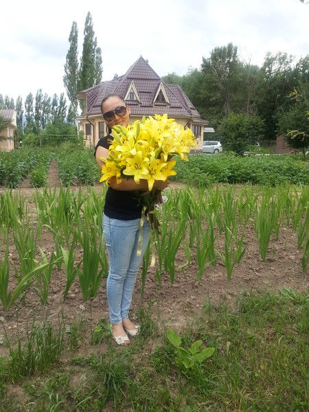 Айгуль Доолотбекова