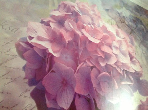 Мария Богомолова