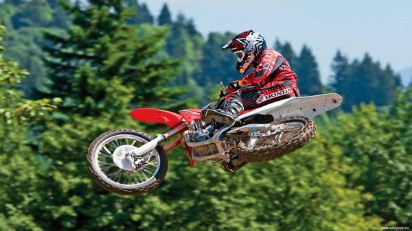 Денис Мот-Мот