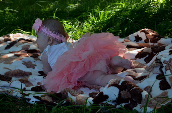 Венера Венера