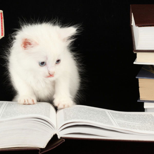 Надежда Овчаренко