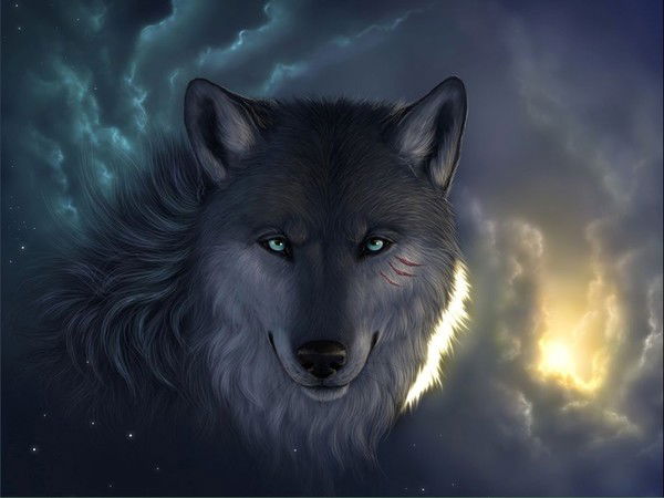 Ришат Сафин