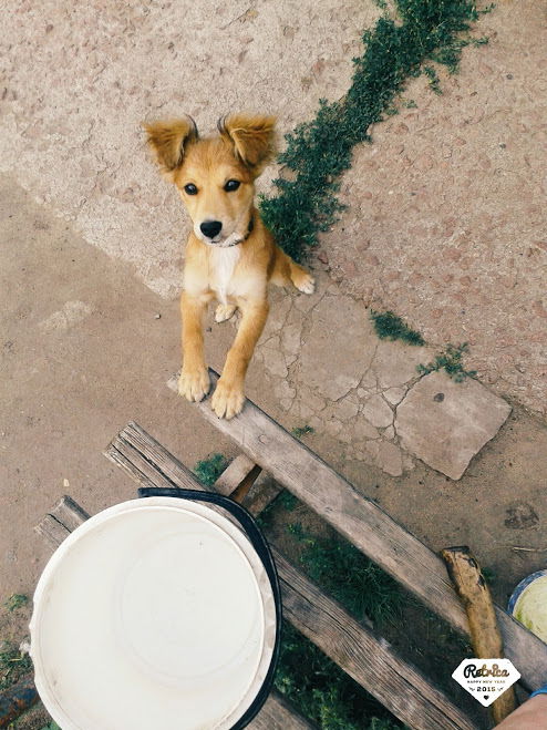 Наталька Жара