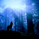 Nikolay Акулов