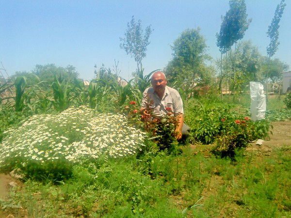 Кошкарбай Джаксимов