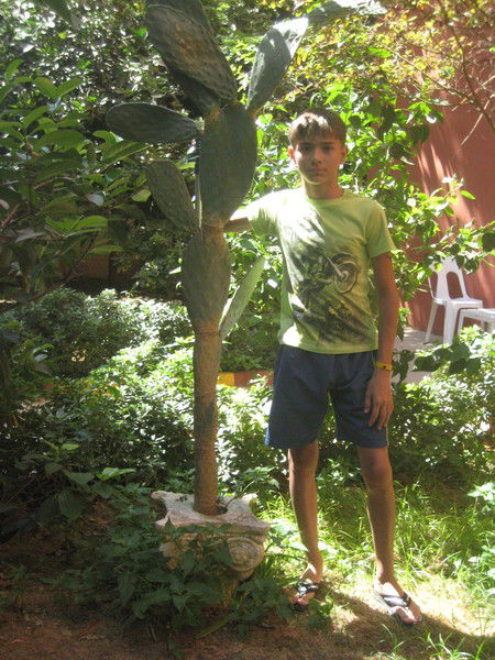 Линар Гараев