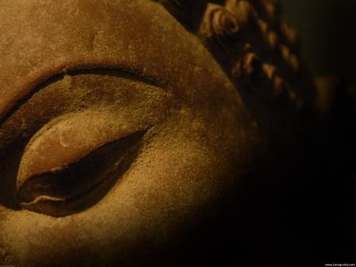 Ольга Лысых