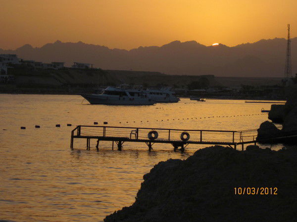 Радик Назипов