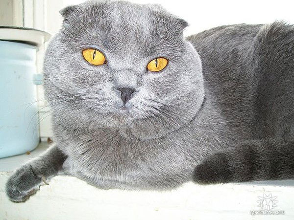 Валерий Лебединский