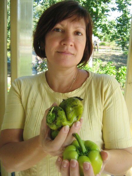 Сицилия Льянская