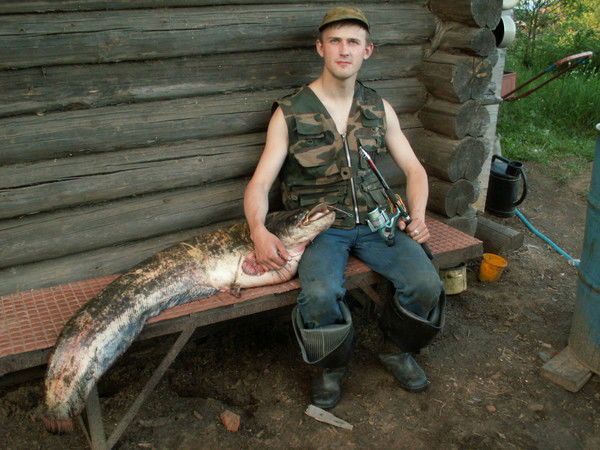 Павел Грибов