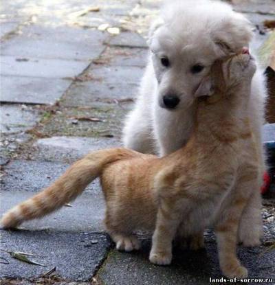 Гульнара Бекетова