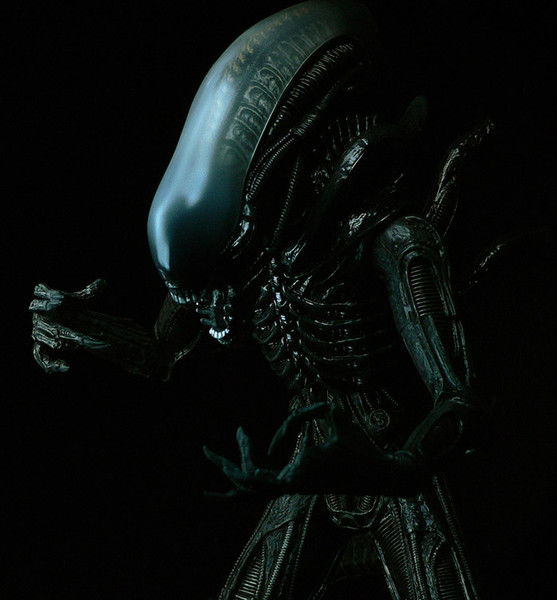 Роман Булкин