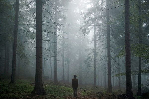 Василий Ким