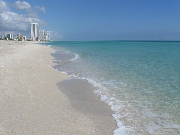 Дарья Першикова