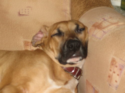 Наталья Лебедева