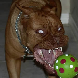 Владислав Артюшенко