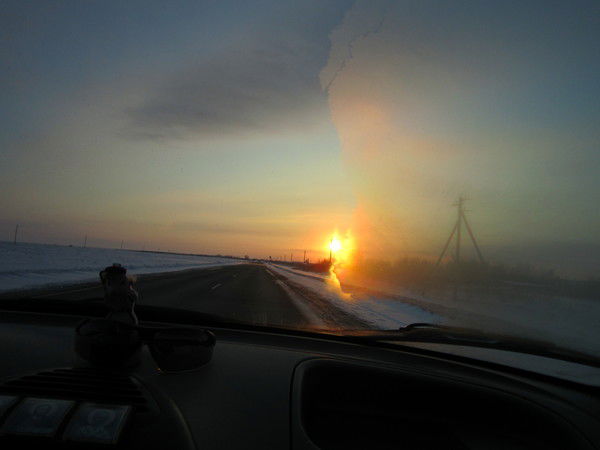 Лариса Дубова