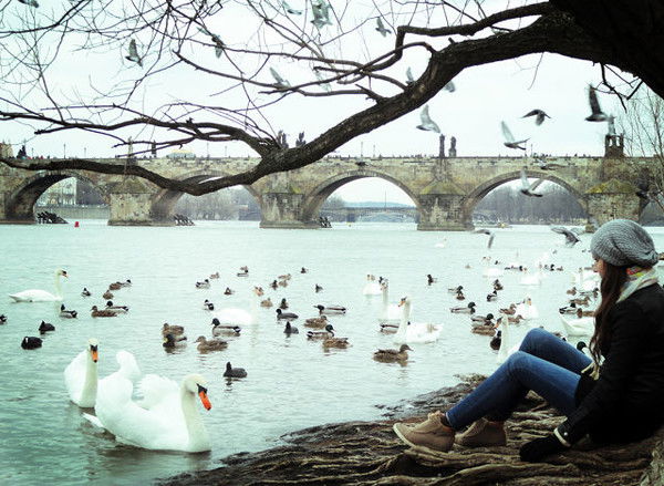 Дарья Александрова