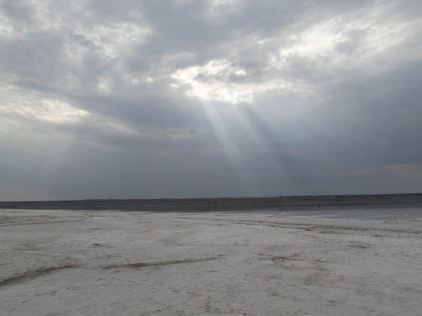 Лилия Логвиненко