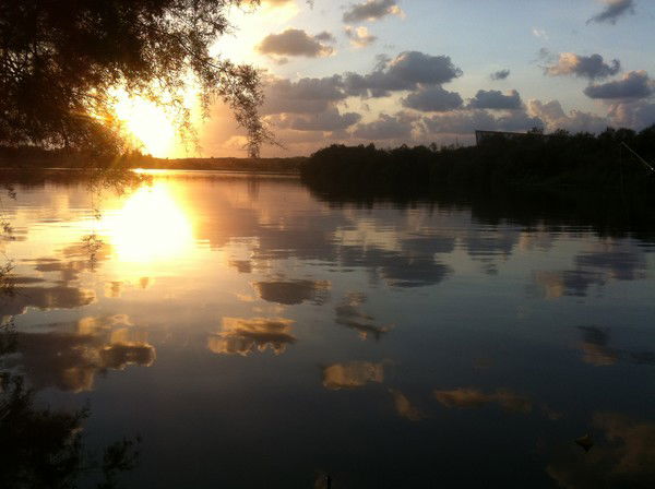 Игорь Гриня