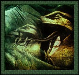 Администрация Сф