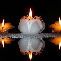 Анатолий Чеботарев