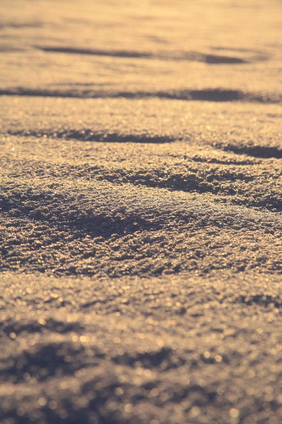 Анна Шаповал