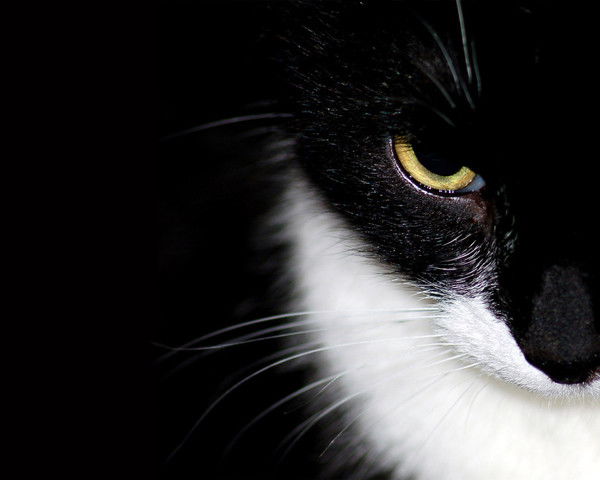 Петр Буруев