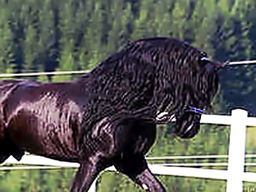 Андрей Губарь