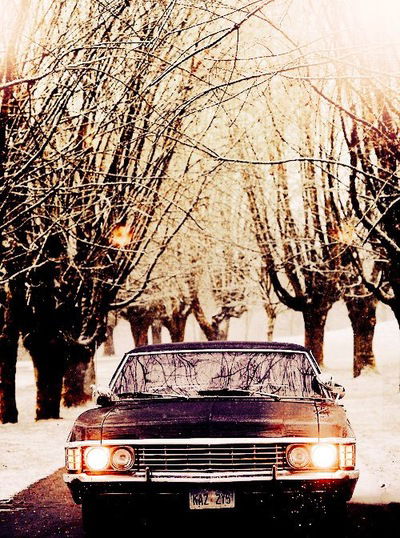 Валерия Колегова