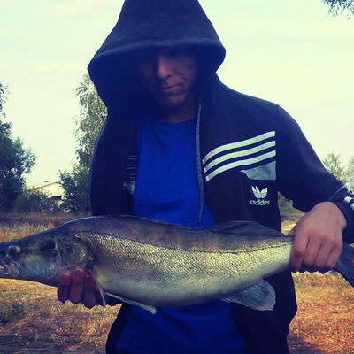 Игорь Полторан