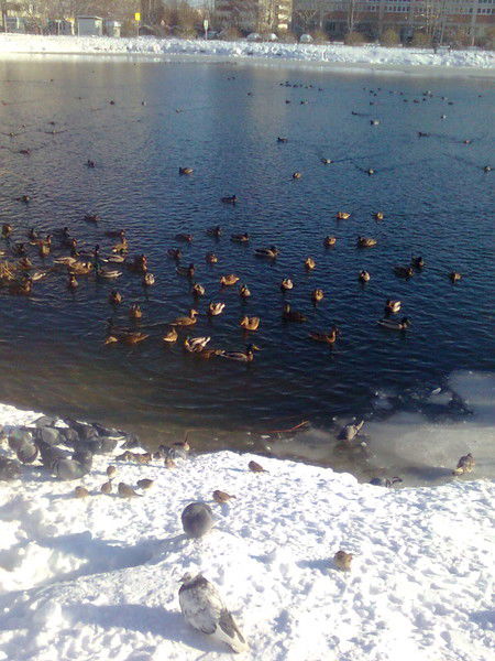 Петр Чечиков