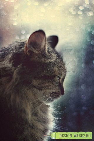 Илона Савицкая