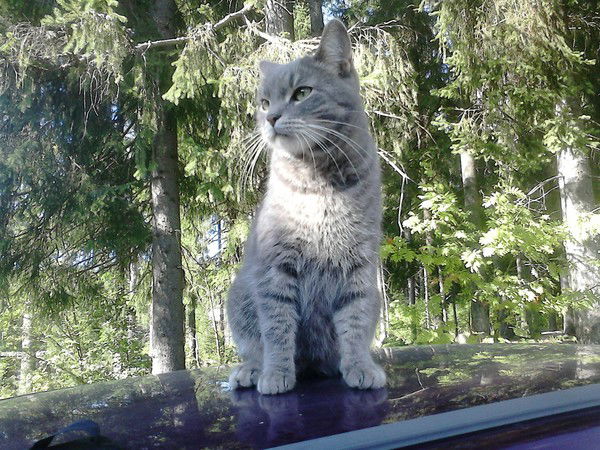 Евгений Сергеевич