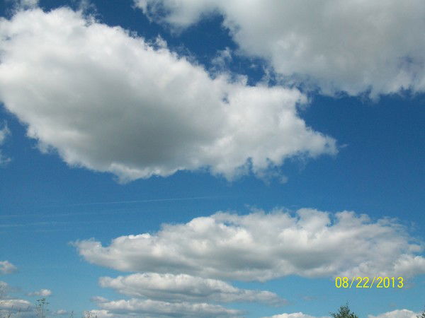 Наталья Глушкова