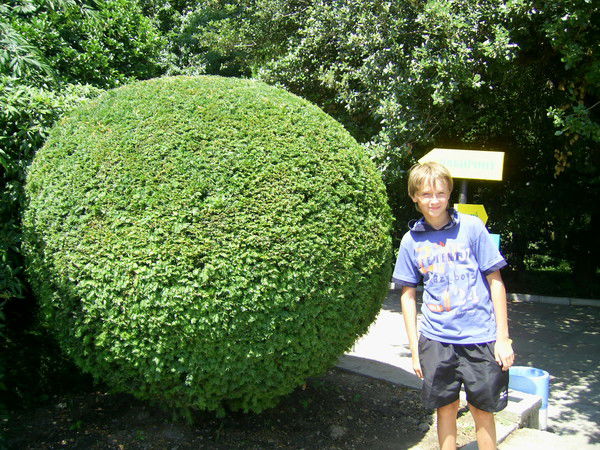 Влад Островерх